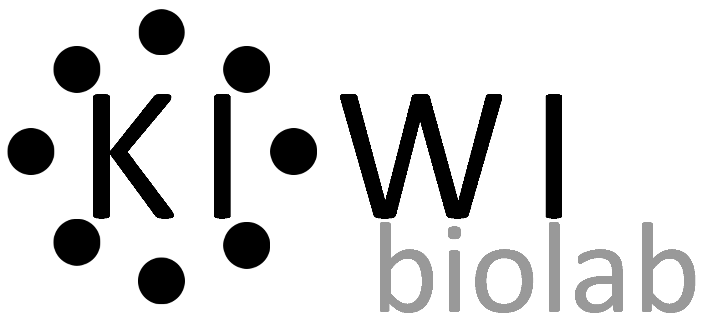 Source image preview